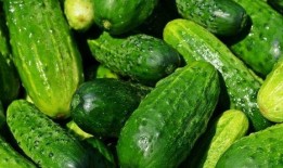 新黄瓜最新爆料图片视频,高清图视频揭秘独特魅力