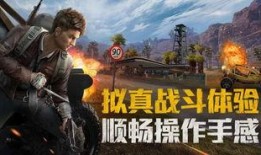 和平精英爆料素材视频,揭秘神秘游戏内容，精彩预告即将揭晓！